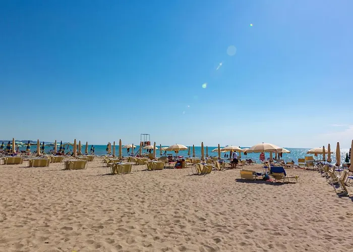 Ponari S Kryemëdhej